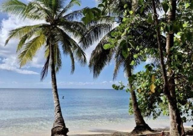 Touloukaera Appt 303 Plage Kawann Saint-Louis Exterior foto